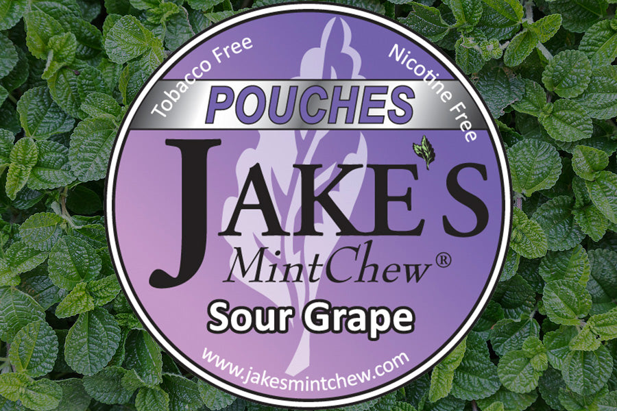Sour Grape Flavor Pouches Quit Dipping with JMC Jake's Mint Chew