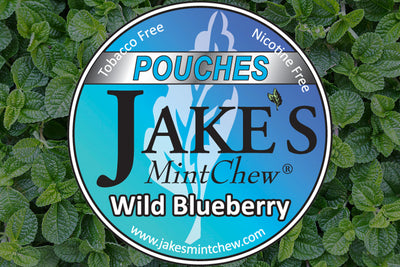 Wild Blueberry Pouches
