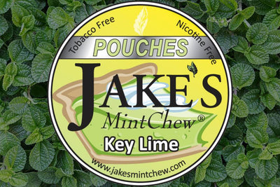 Key Lime Pouches