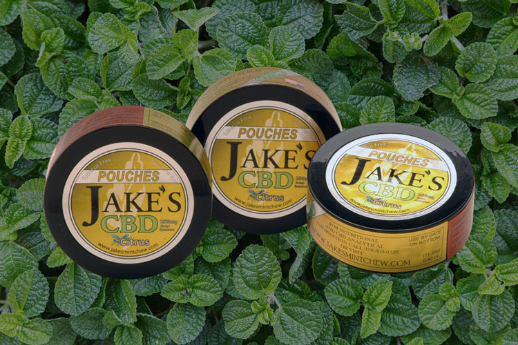 chewing tobacco side effects Dangers of Smokeless Tobacco