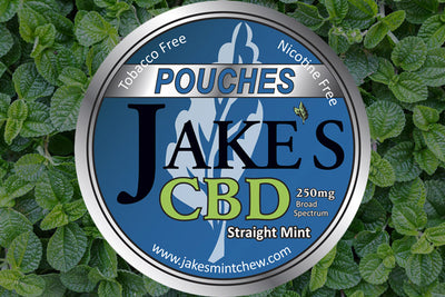 Tin of CBD Pouches - Straight Mint
