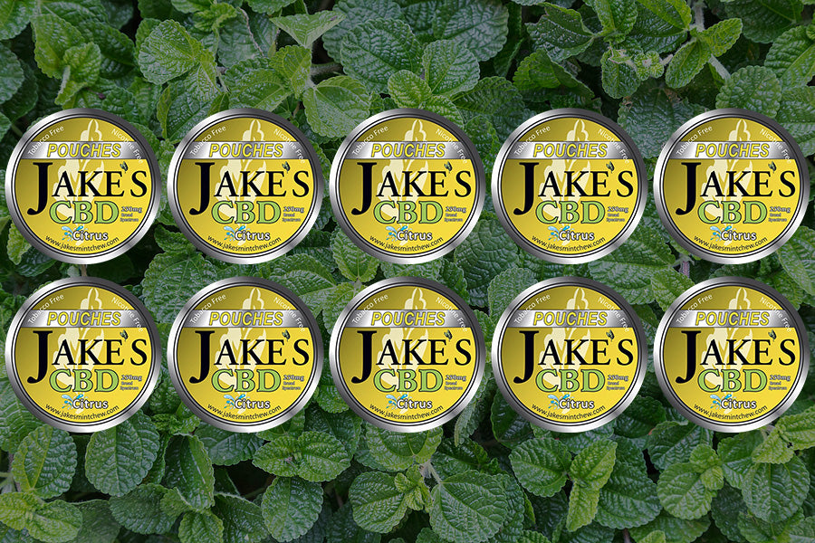 citrus chewing tobacco Chewing Tobacco Alternative — Pouches and Long Cut — Jake's Mint Chew
