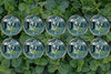 10 Tins CBD Pouches - Wintergreen