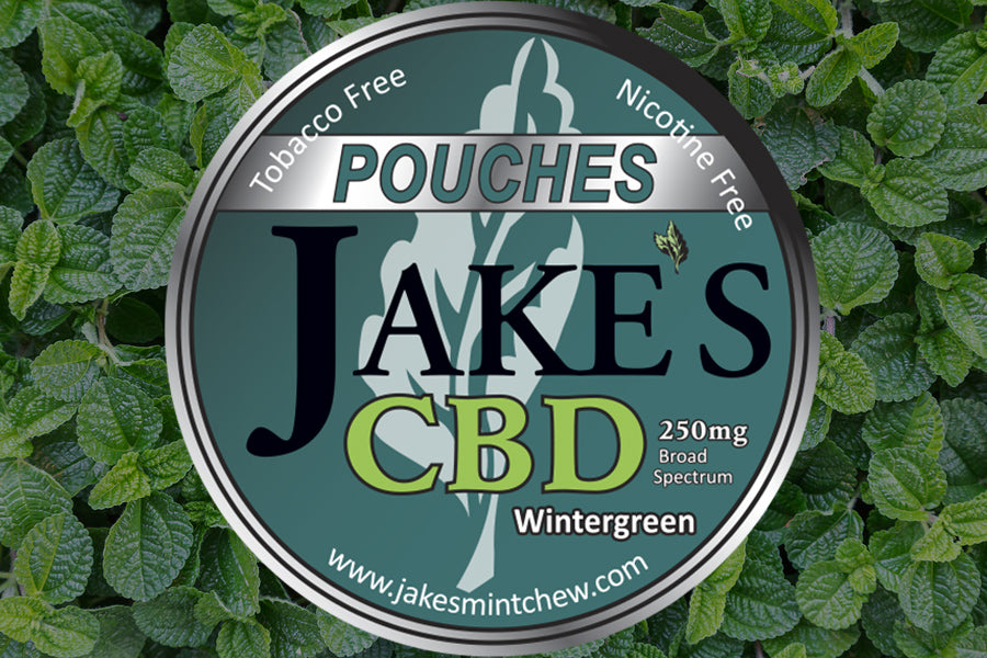 Chewing Tobacco Alternative — Pouches and Long Cut — Jake's Mint Chew