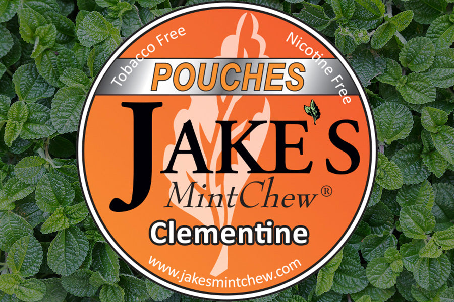 Clementine Flavor Mint Pouches Quit Dipping with JMC Jake's Mint Chew