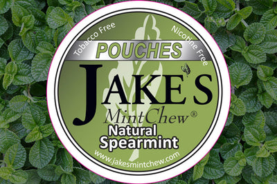 Natural Spearmint Flavor Mint Pouches
